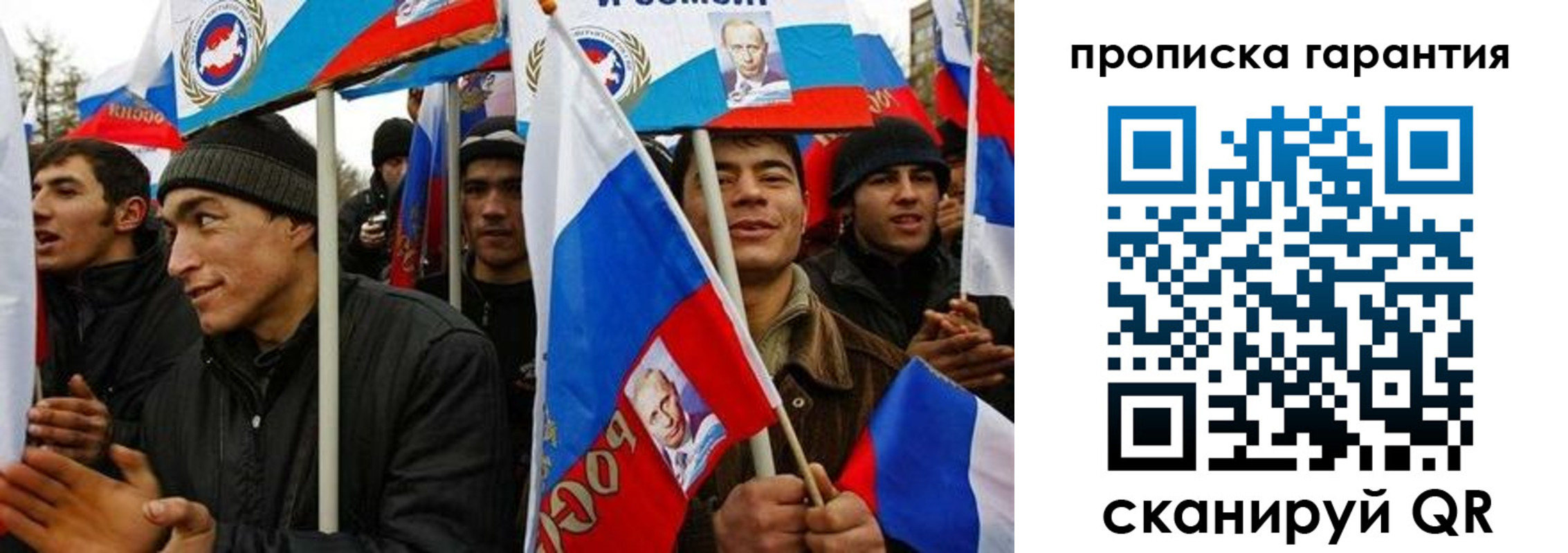 прописка поиск в Павловске